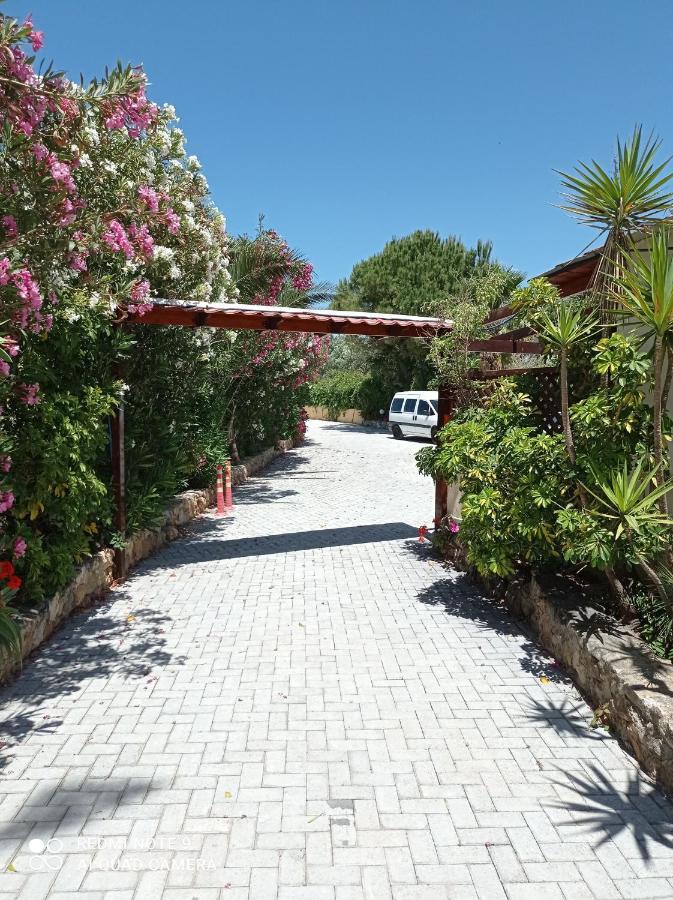 Alexandros Studios Kalamaki  Exterior photo